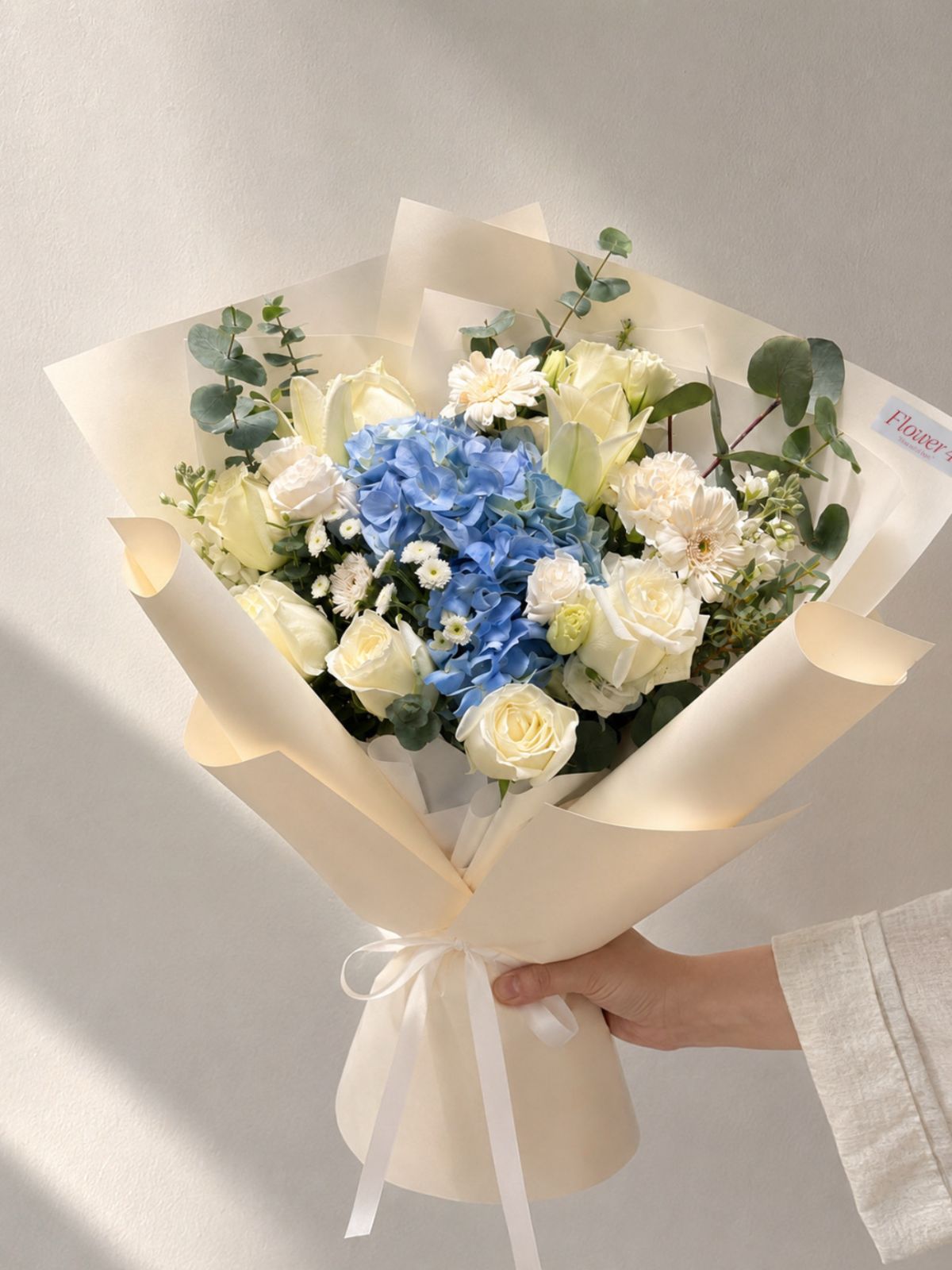 4CAE3FDF-32DA-4FB6-9F8A-B0E398BA822B-cropped.png