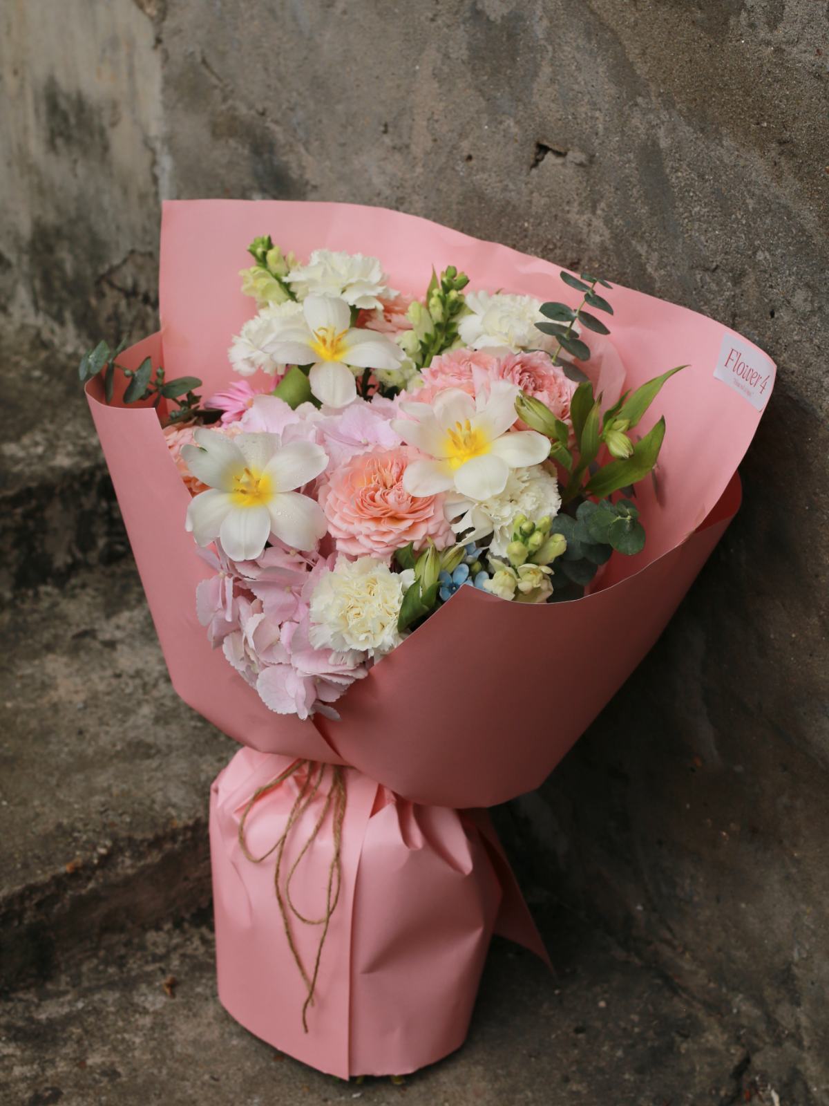 IMG_5688-cropped.png