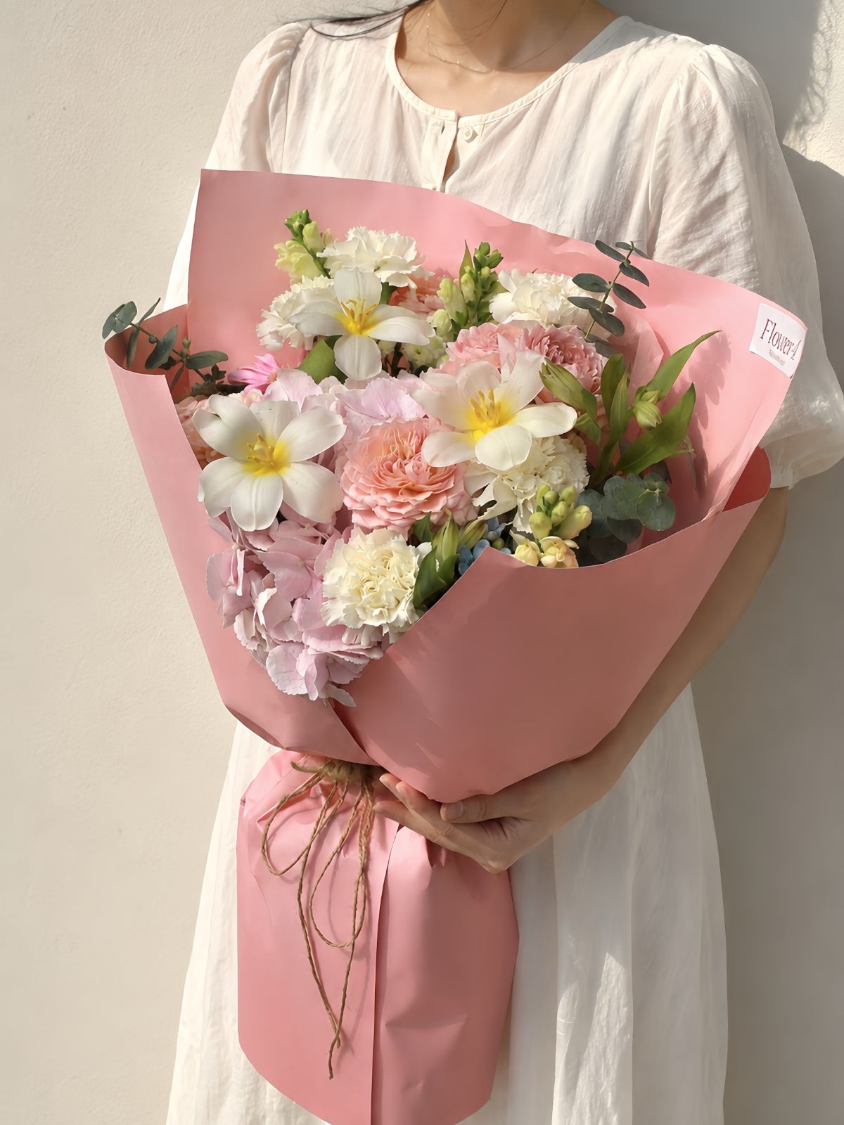 IMG_4213-cropped.png