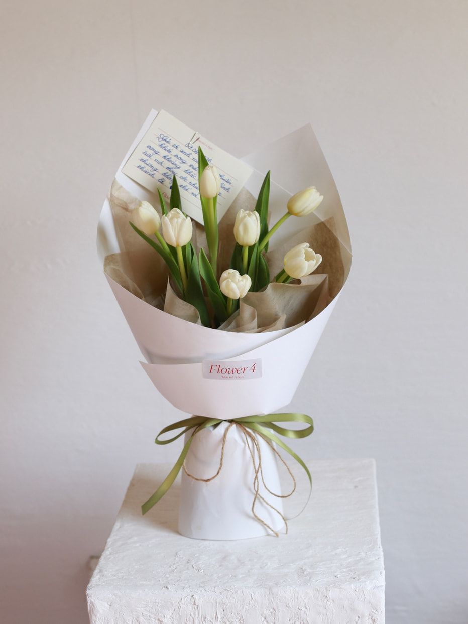 Bó 7 Bông Tulip Hà Lan