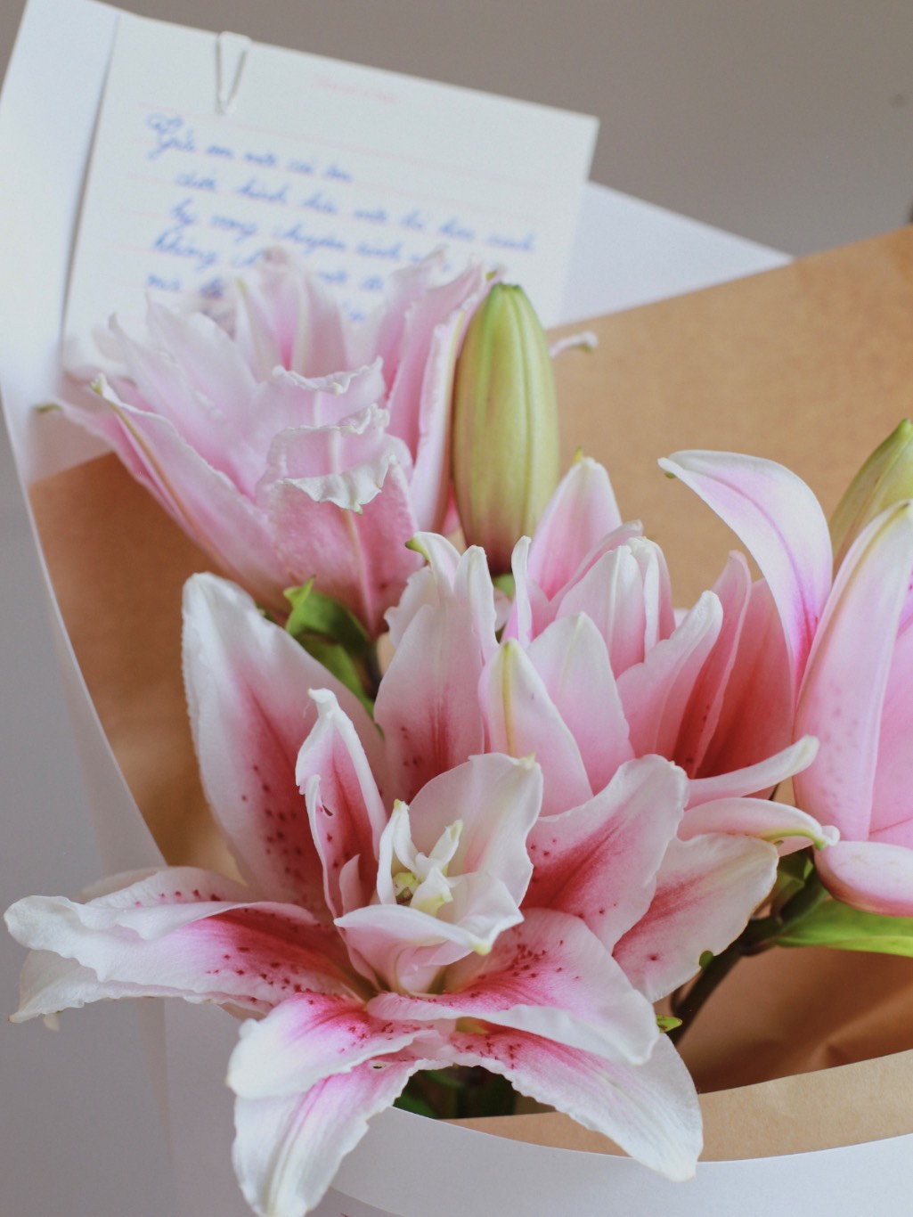 IMG_7687_VSCO 2-cropped.png